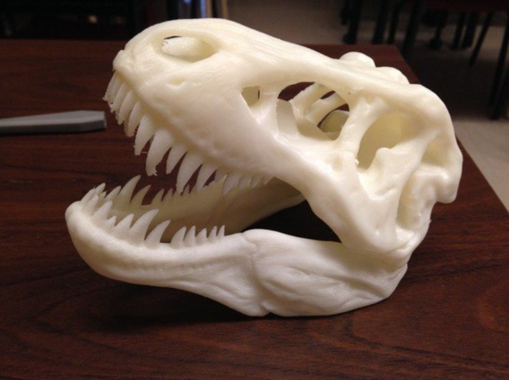 T-REX SKULL